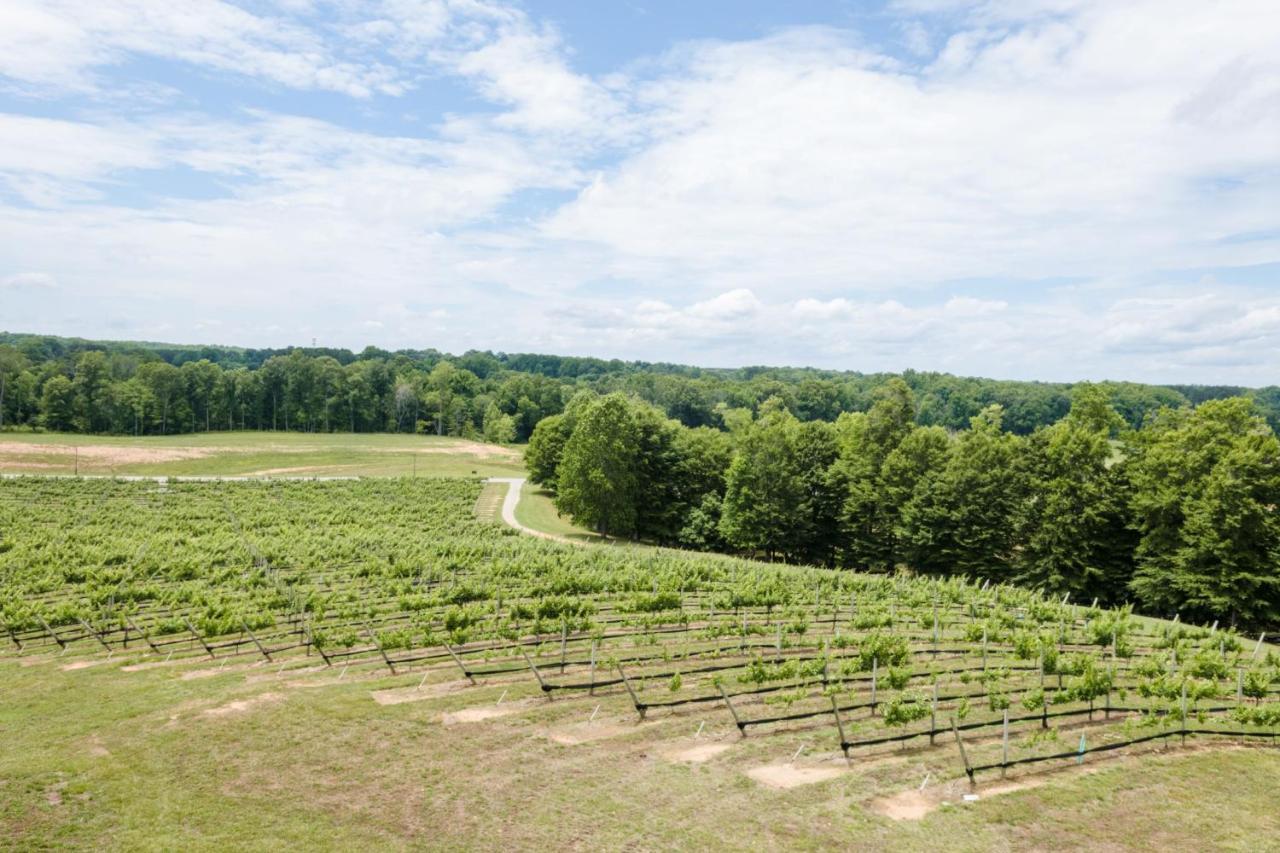 Holiday Inn Express & Suites Lexington North West-The Vineyard By Ihg Exterior foto